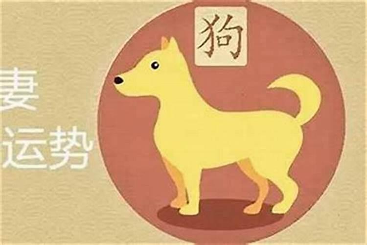 狗和龙八字合吗？