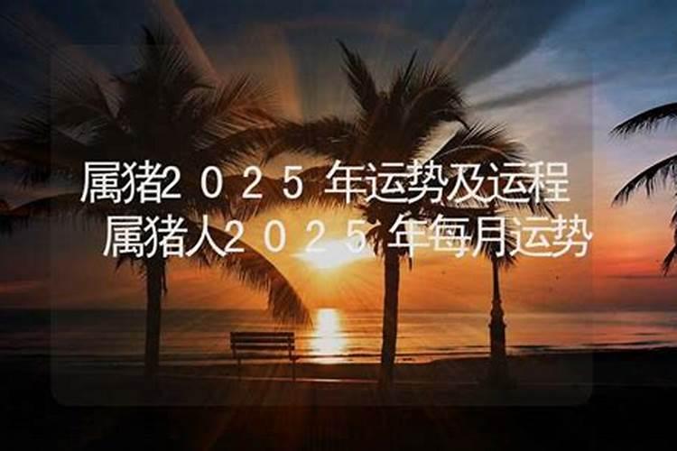 属猪的2025年运势