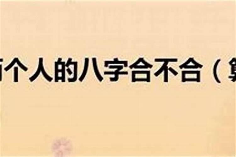 我们的爱情隔着八字不合