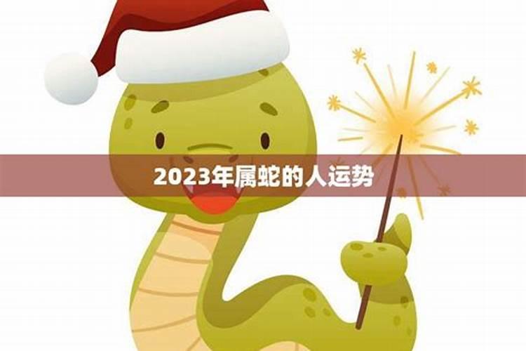 2025年属蛇下半年12月运程